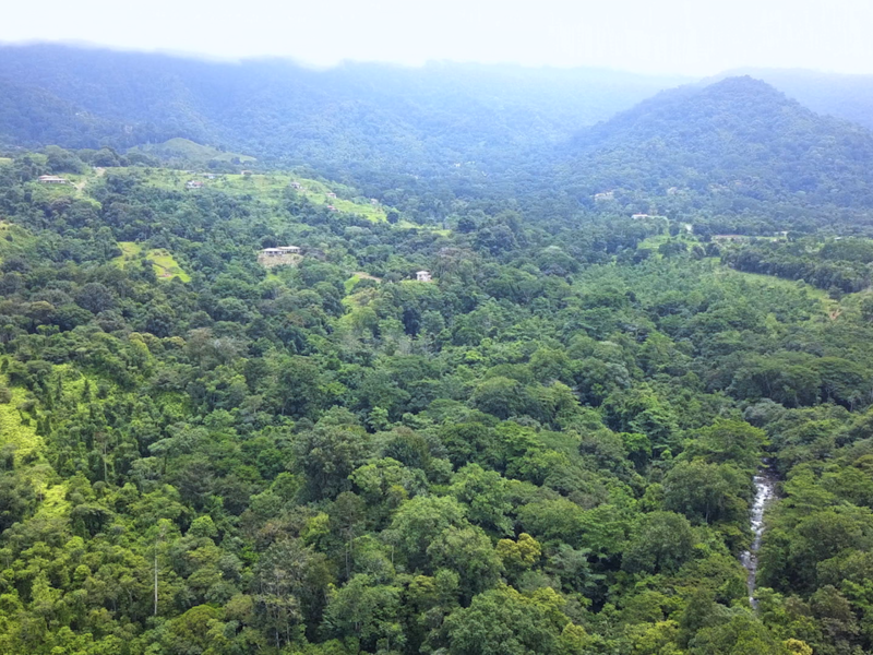 Land For Sale in Ojochal Costa Rica